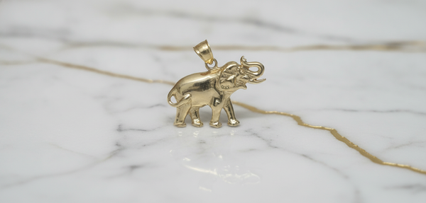 Dije Elefante de la Buena Suerte en Relieve en Oro Amarillo 10K (1.67g)