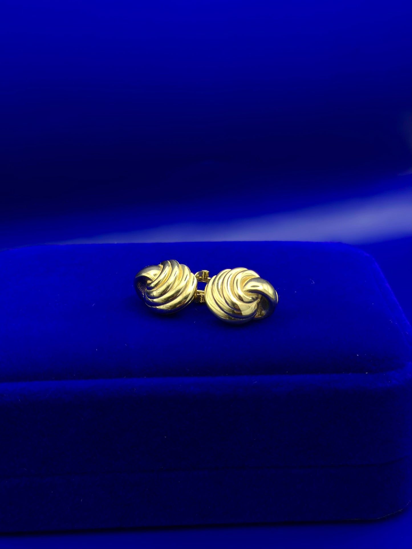 Omega Snail Style Earrings
