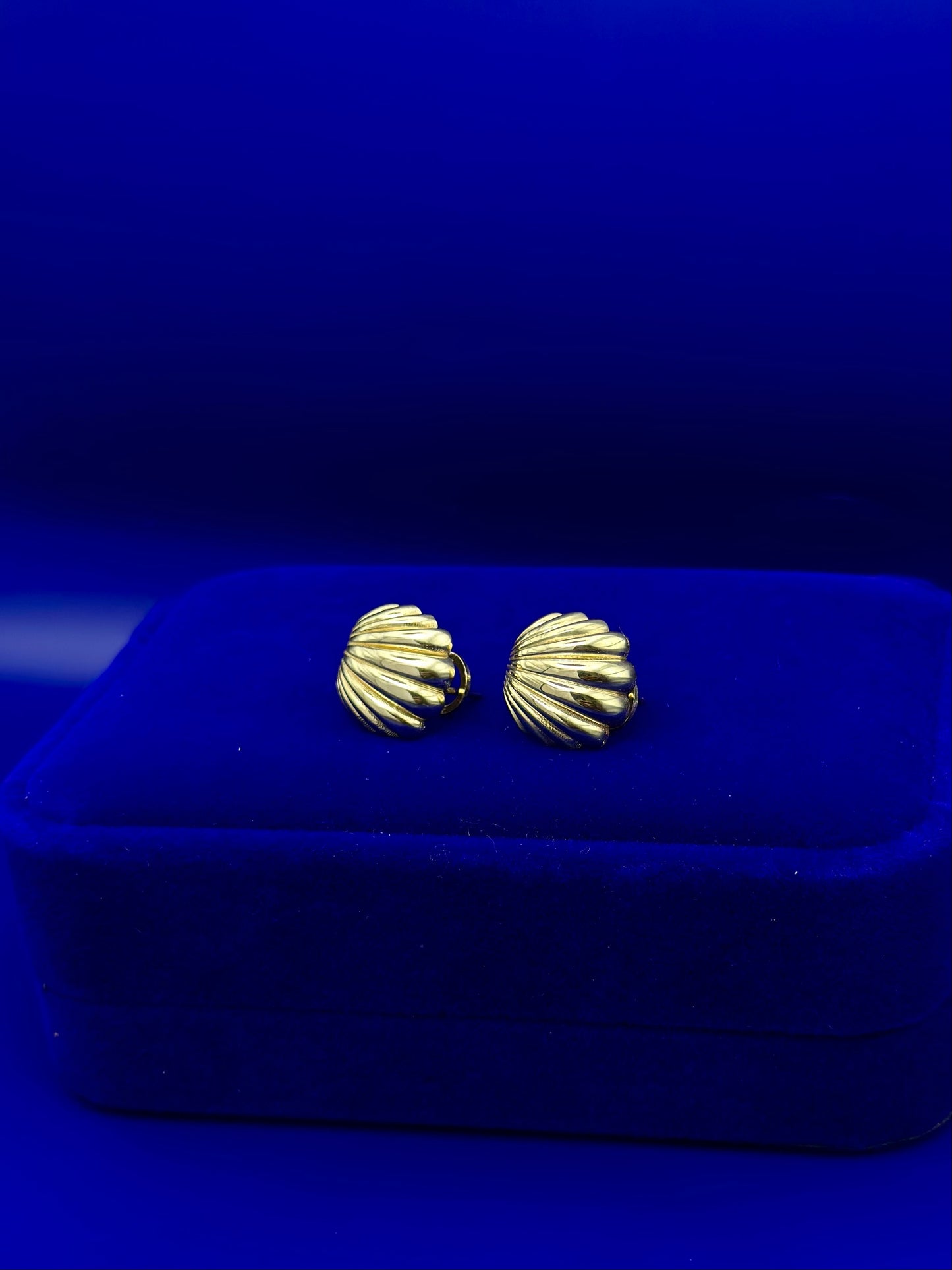 Omega Shell Style Earrings