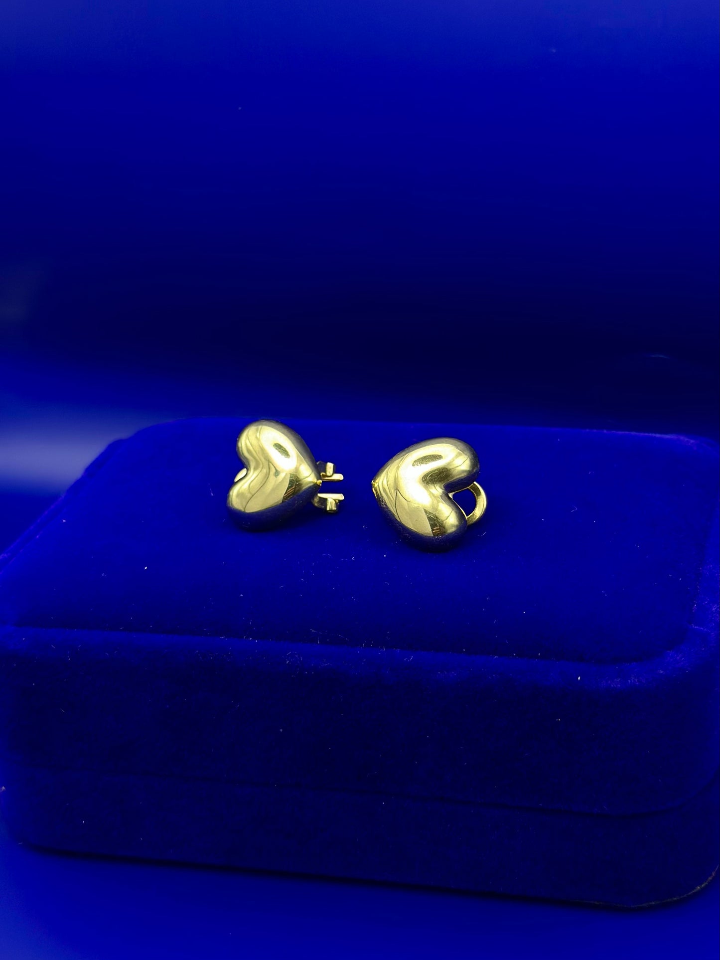Omega 20k Heart Style Earrings