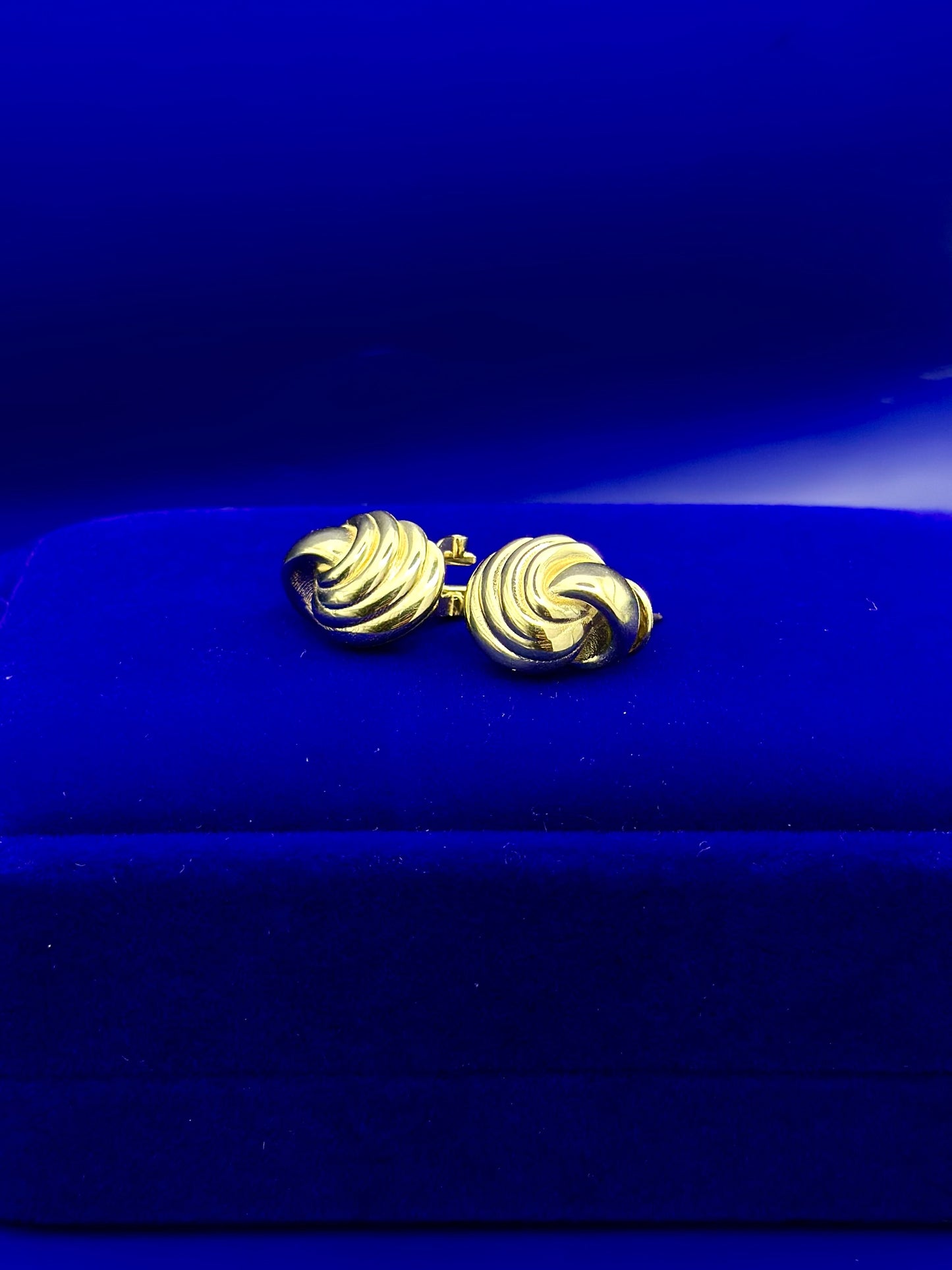 Omega Snail Style Earrings