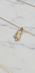 Dije Búho de la Sabiduría Posado en Rama con Corte Diamante en Oro Amarillo 10K (1.14g)