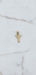 Dije Letra Inicial Y Tallada con Rosetas y Borde Diamantado en Oro Amarillo 10K (0.60g)