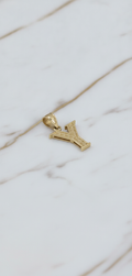 Dije Letra Inicial Y Tallada con Rosetas y Borde Diamantado en Oro Amarillo 10K (0.60g)