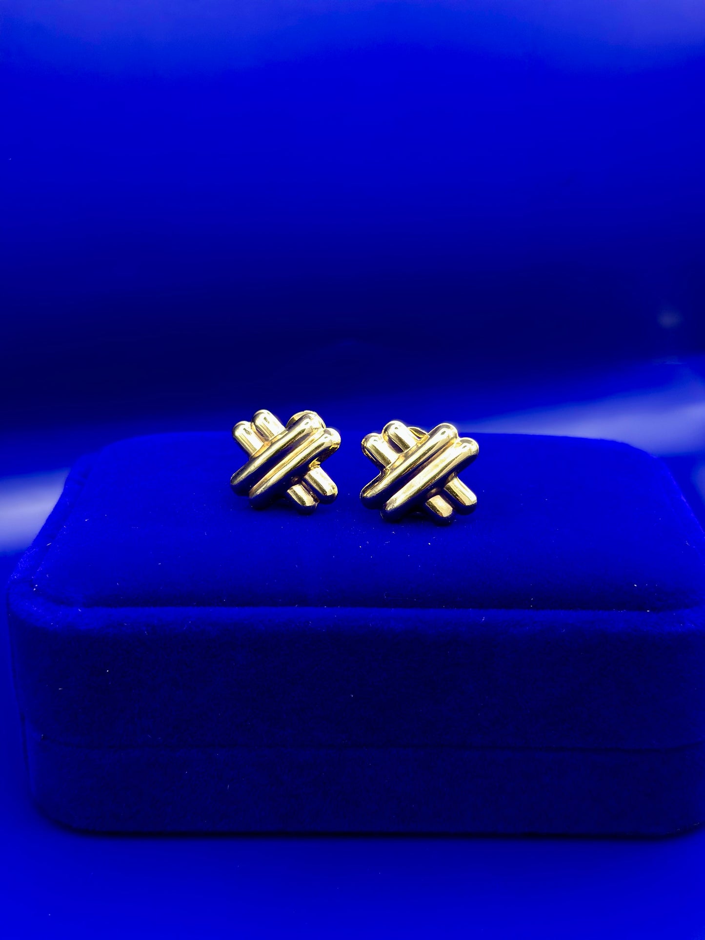 Omega Cross Style Earrings 10k