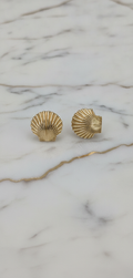 Aretes de Concha Marina Acanalada en Oro Amarillo 10K - 3.15g