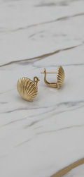 Aretes de Concha Marina Acanalada en Oro Amarillo 10K - 3.15g