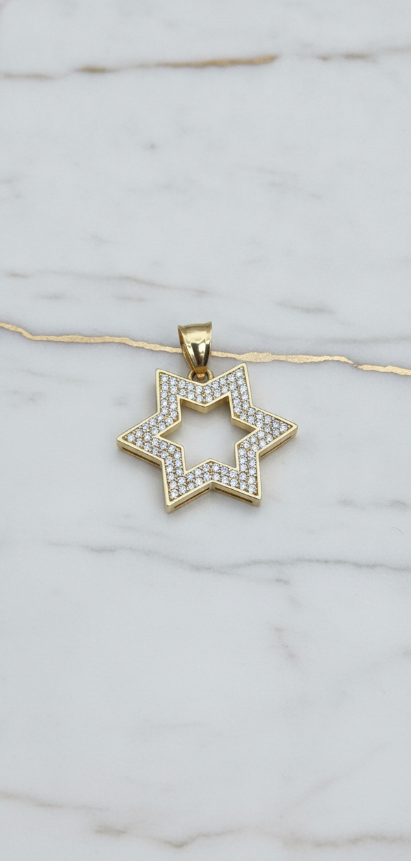 Dije Estrella de Seis Puntas Calada con Doble Hilera de Zirconias Pavé en Oro Amarillo 10K (2.75g)