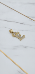 Dije Letra Inicial E con Corona y Zirconias en Oro Sólido Amarillo 10K (1.70g)