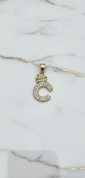 Dije Letra Inicial C con Corona y Doble Hilera de Zirconias Pavé en Oro Amarillo 10K (2.16g)