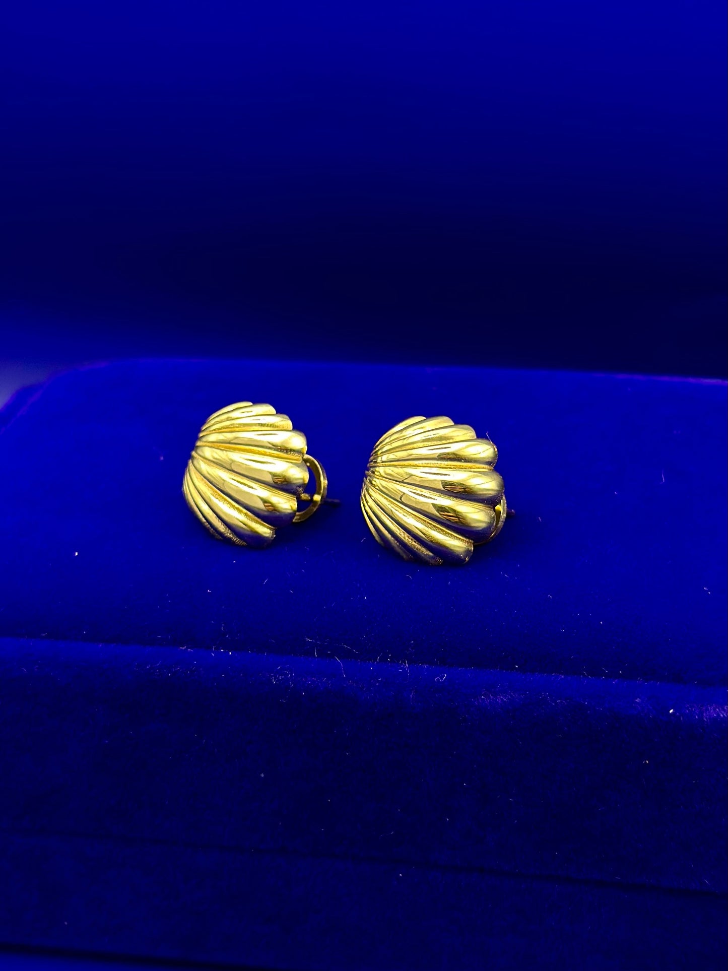 Omega Shell Style Earrings